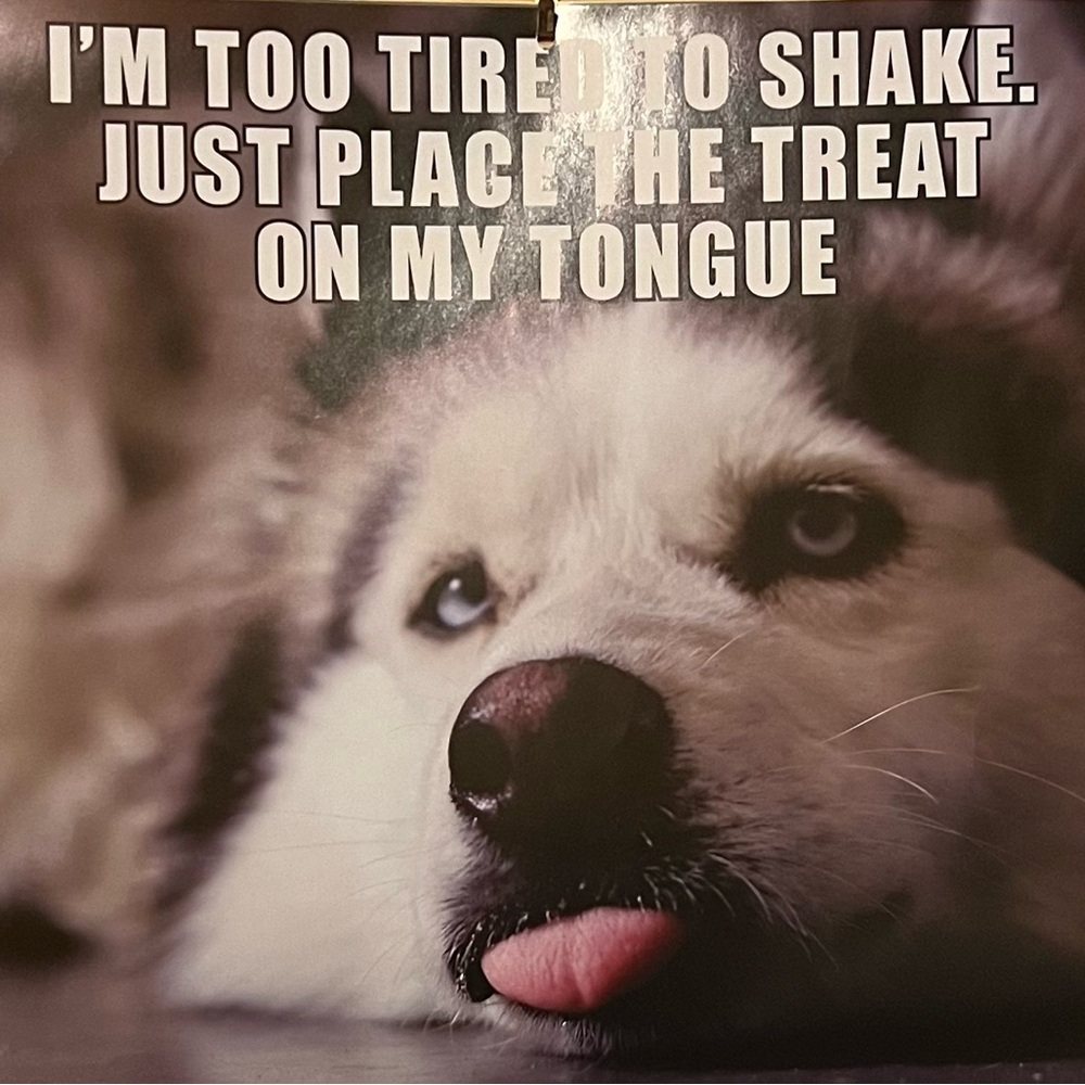 Meet your Posher, JD